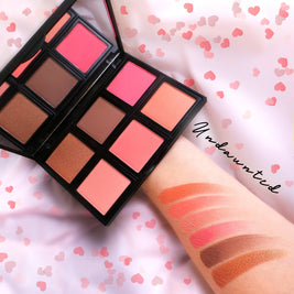 Undaunted Blush Palette